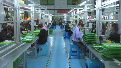 訂單式生產與電商運營雙輪驅動，安龍電子產品產業前景廣闊